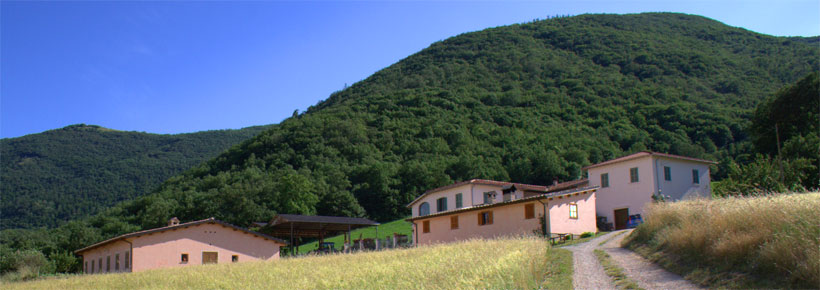 Farmhouse holiday Italy