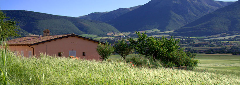 Farmhouse holiday Italy