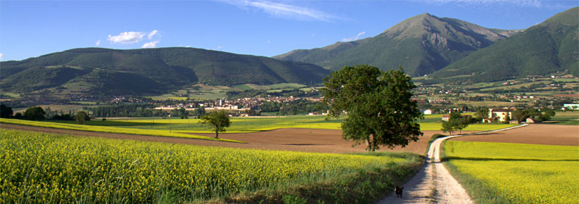 Umbria Farmhouse