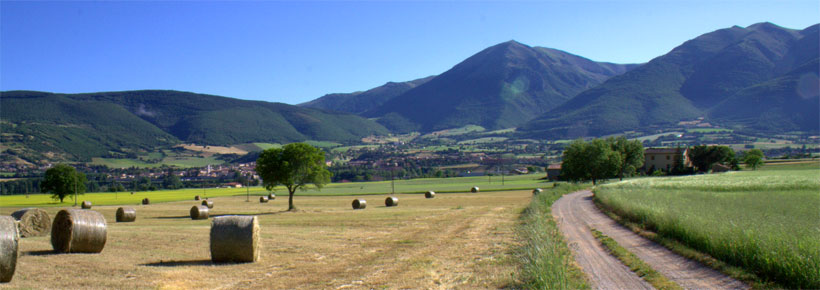 Umbrian Products