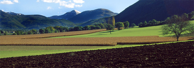 Umbrian Products