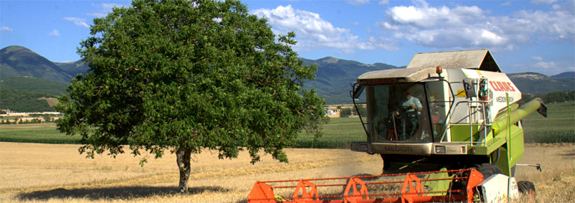 Umbrian Products