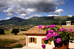 Farmhouse holiday Italy